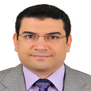 Molham Abdel Hafez Ibrahim