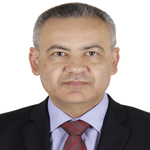 حسين محمد غانم